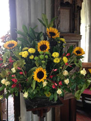Harvest festival 2015