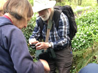 Wildlife survey 2016